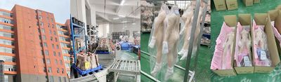 Shenzhen Marcy Healthy Industry Co.,Ltd cadena de producción del fabricante