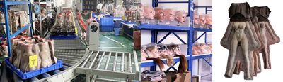Shenzhen Marcy Healthy Industry Co.,Ltd cadena de producción del fabricante