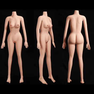 Cuerpo de muñeca de sexo personalizable 158cm altura forma del cuerpo delgado y pechos pequeños piel suave elástica-MARCY